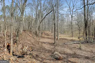 19 Allison Rd, Moreland, GA 30259 - Photo 74