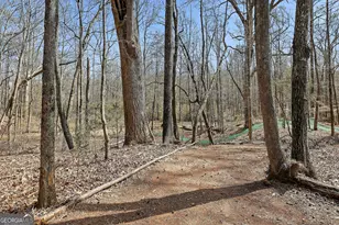 19 Allison Rd, Moreland, GA 30259 - Photo 72