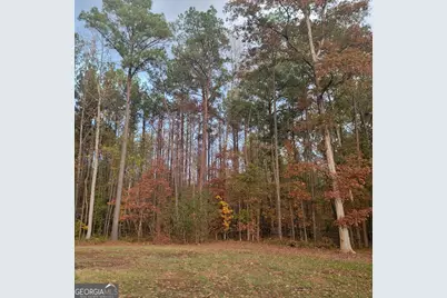 19 Allison Road, Moreland, GA 30259 - Photo 20