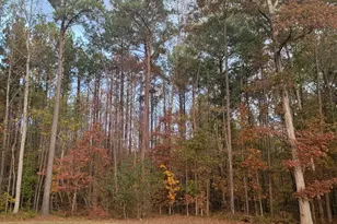 19 Allison Rd, Moreland, GA 30259 - Photo 20