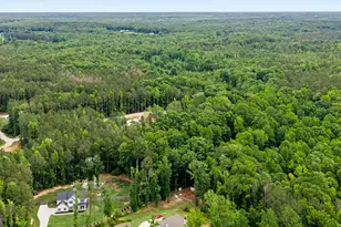 19 Allison Rd, Moreland, GA 30259 - Photo 80