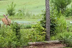 19 Allison Rd, Moreland, GA 30259 - Photo 18