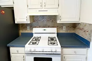 11473 Vinea Way, Hampton, GA 30228 - Photo 10