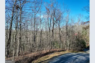 Lot 9 Sunrise Court, Blue Ridge, GA 30513 - Photo 4