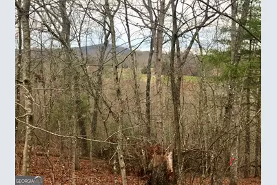 Lot 9 Sunrise Court, Blue Ridge, GA 30513 - Photo 12