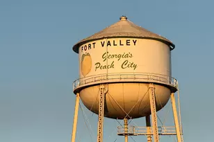 803 Pine St, Fort Valley, GA 31030 - Photo 22