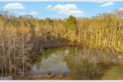 163 Ridgeland Drive, Maysville, GA 30558 - Photo 28