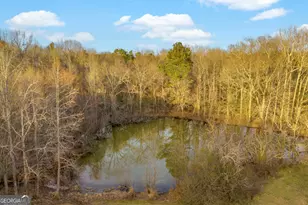 163 Ridgeland Dr, Maysville, GA 30558 - Photo 28