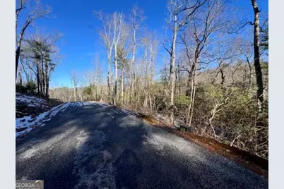 Lot 10 Kennedys Court, Blairsville, GA 30512 - Photo 8
