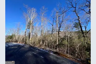 Lot 10 Kennedys Court, Blairsville, GA 30512 - Photo 10
