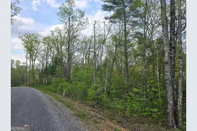 Lot 10 Kennedys Court, Blairsville, GA 30512 - Photo 1