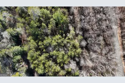 0 W River Trace LOT # 48, Ellijay, GA 30536 - Photo 6