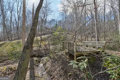 99 Madeline Anthony Road, Dahlonega, GA 30533 - Photo 92