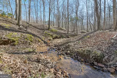 99 Madeline Anthony Road, Dahlonega, GA 30533 - Photo 92