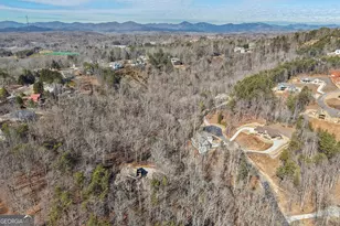 99 Madeline Anthony Rd, Dahlonega, GA 30533 - Photo 106