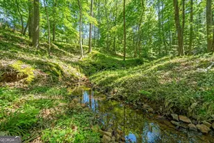 99 Madeline Anthony Rd, Dahlonega, GA 30533 - Photo 74