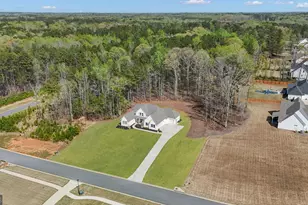 215 Grey Fairs Ave, Senoia, GA 30276 - Photo 64