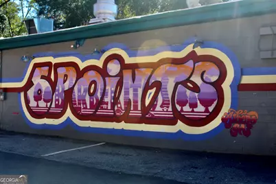 150 Gran Ellen Drive, Athens, GA 30606 - Photo 58