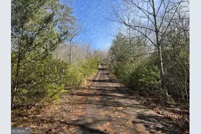 0 Mountain Lion Trail, Helen, GA 30545 - Photo 32