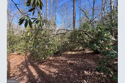 0 Mountain Lion Trail, Helen, GA 30545 - Photo 12