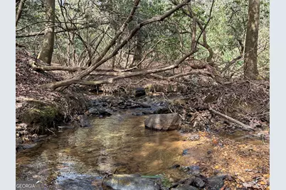 0 Mountain Lion Trail, Helen, GA 30545 - Photo 42