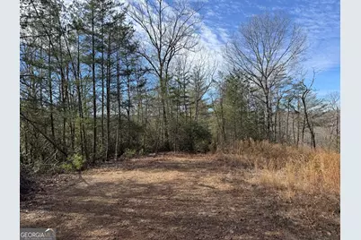 0 Mountain Lion Trail, Helen, GA 30545 - Photo 6