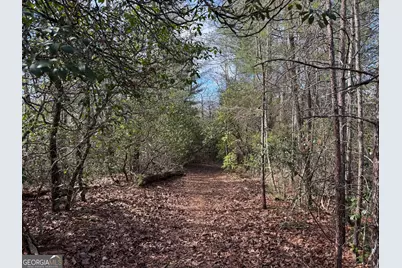 0 Mountain Lion Trail, Helen, GA 30545 - Photo 8