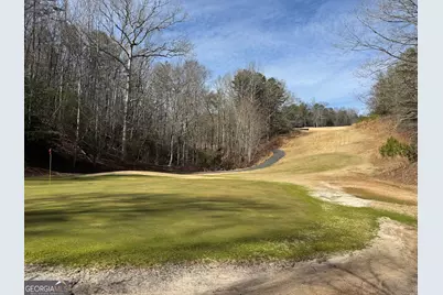 0 Mountain Lion Trail, Helen, GA 30545 - Photo 10