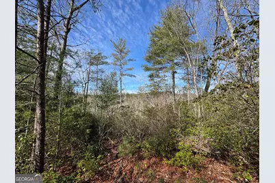 0 Mountain Lion Trail, Helen, GA 30545 - Photo 16