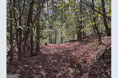 0 Mountain Lion Trail, Helen, GA 30545 - Photo 26