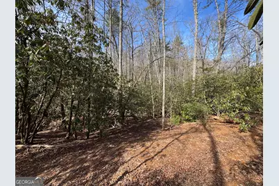 0 Mountain Lion Trail, Helen, GA 30545 - Photo 22