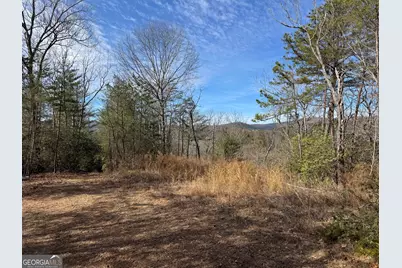 0 Mountain Lion Trail, Helen, GA 30545 - Photo 4