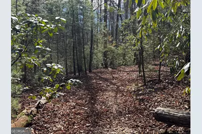 0 Mountain Lion Trail, Helen, GA 30545 - Photo 20