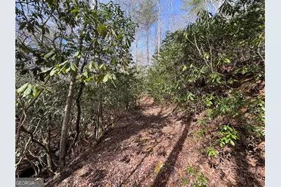 0 Mountain Lion Trail, Helen, GA 30545 - Photo 38