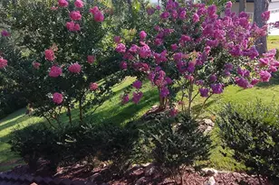 368 Ivy Log Heights Rd, Young Harris, GA 30582 - Photo 70