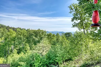 368 Ivy Log Heights Road, Young Harris, GA 30582 - Photo 46