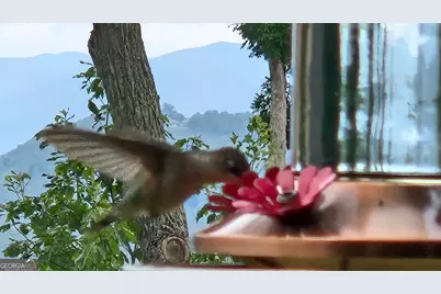 368 Ivy Log Heights Road, Young Harris, GA 30582 - Photo 76