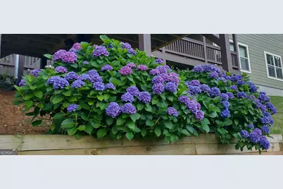 368 Ivy Log Heights Road, Young Harris, GA 30582 - Photo 68