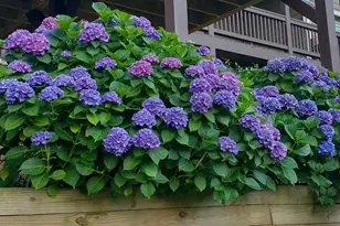 368 Ivy Log Heights Rd, Young Harris, GA 30582 - Photo 68