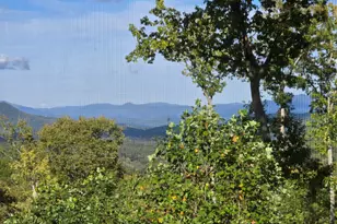 368 Ivy Log Heights Rd, Young Harris, GA 30582 - Photo 46