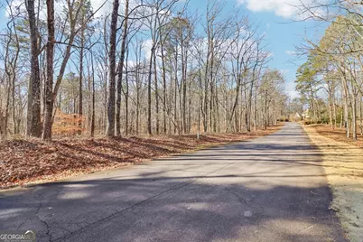 6050 Hickory Bend Drive, Douglasville, GA 30135 - Photo 8