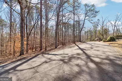 6050 Hickory Bend Drive, Douglasville, GA 30135 - Photo 10