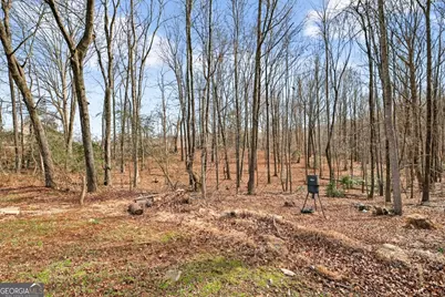 818 Dean Mountain Road, Cleveland, GA 30528 - Photo 34