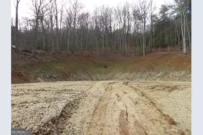 #2 Sunnyside Road (Highway 288), Hiawassee, GA 30546 - Photo 1