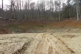 #2 Sunnyside Road (Highway 288), Hiawassee, GA 30546 - Photo 1