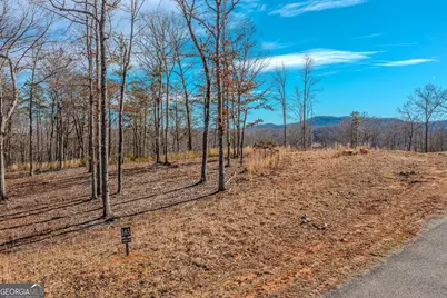 Lot 61 Ridges Drive, Blue Ridge, GA 30513 - Photo 10
