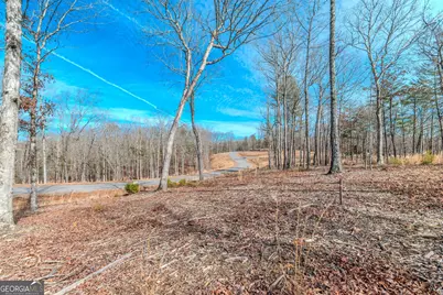Lot 61 Ridges Drive, Blue Ridge, GA 30513 - Photo 14
