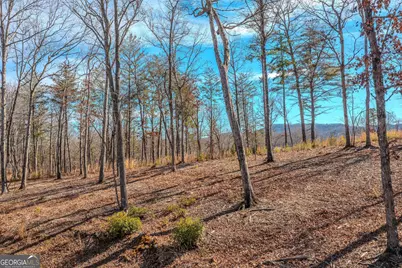 Lot 61 Ridges Drive, Blue Ridge, GA 30513 - Photo 6