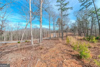 Lot 61 Ridges Drive, Blue Ridge, GA 30513 - Photo 12