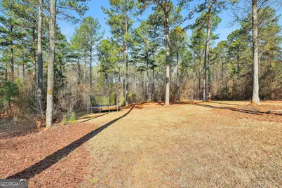 103 Fox Hall Crossing W, Senoia, GA 30276 - Photo 90